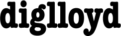 diglloyd-logo diglloyd-logo
